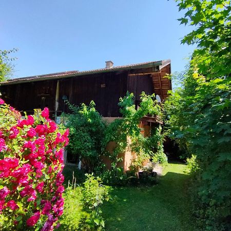 Gemuetliche Ferienwohnung Mit Kamin Und Garten Garmisch-Partenkirchen Dış mekan fotoğraf