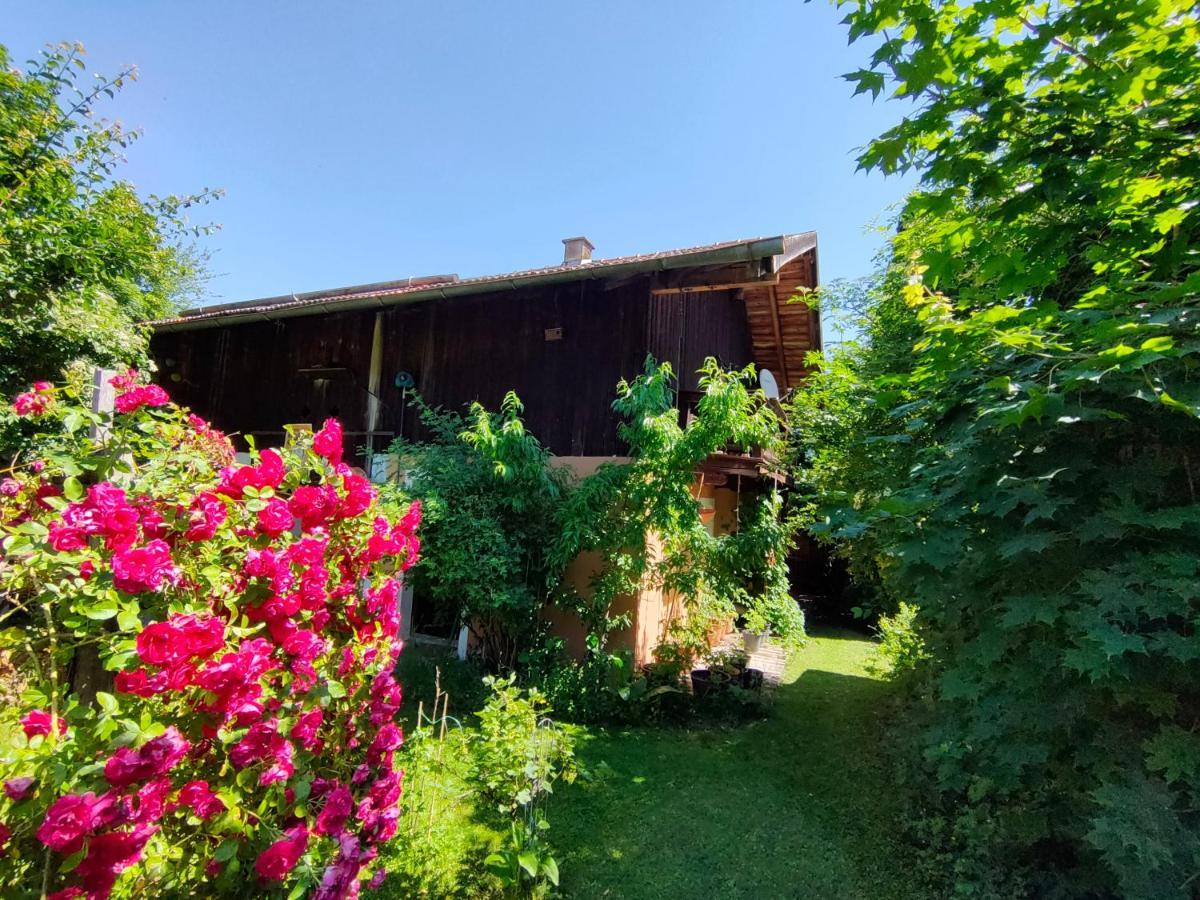 Gemuetliche Ferienwohnung Mit Kamin Und Garten Garmisch-Partenkirchen Dış mekan fotoğraf